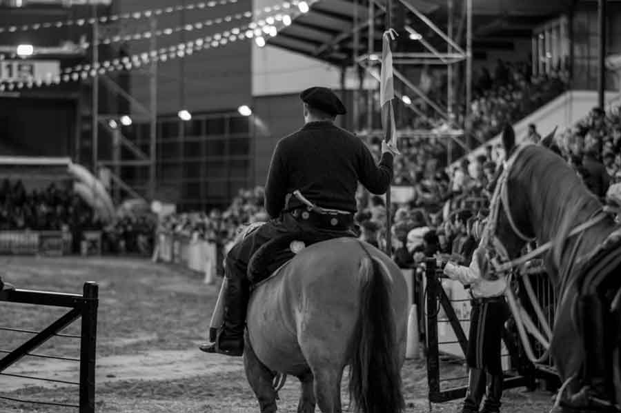 Caballos ensillados esperando en una jineteada